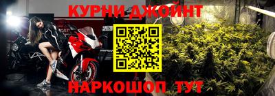 шишки Пугачёв