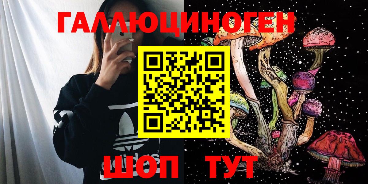 Галлюциногенные грибы Psilocybe Партизанск