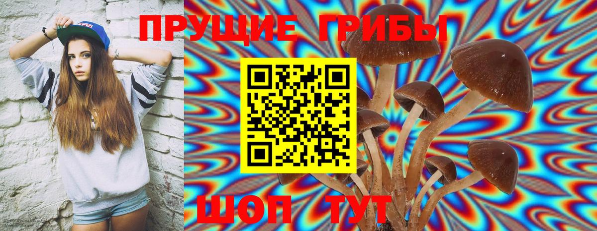 Партизанск  Галлюциногенные грибы Psilocybine cubensis  Вход с VPN 